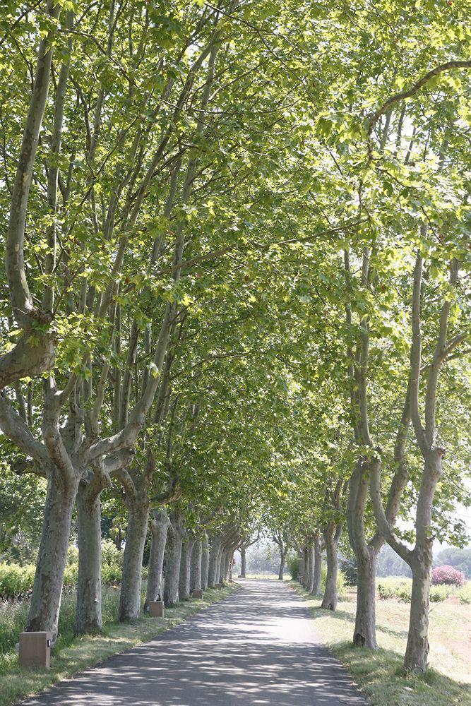 Chateau Des Demoiselles La Motte المظهر الخارجي الصورة